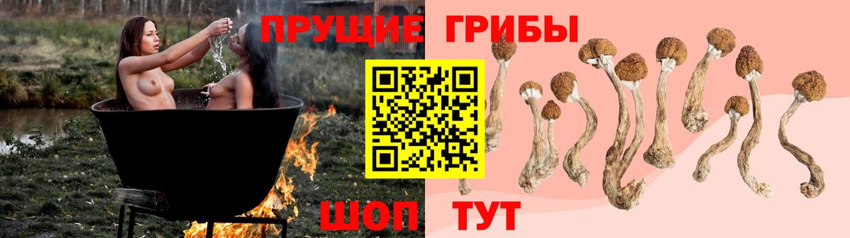 Псилоцибиновые грибы MAGIC MUSHROOMS  Вход с VPN  Ртищево 